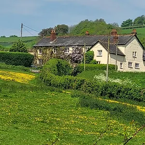 Beautiful Devon Exeter